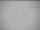 Webcam at the South Pole, 0 mi away