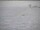Webcam at the South Pole, 771.7 mi away
