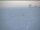 Webcam at the South Pole, 659.6 mi away