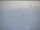 Webcam am Südpol, 2334.6 km entfernt