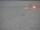 Webcam am Südpol, 1136.7 km entfernt