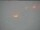 Webcam am Südpol, 1136.7 km entfernt
