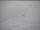 Webcam at the South Pole, 900.7 mi away