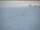 Webcam at the South Pole, 900.7 mi away