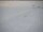 Webcam at the South Pole, 438.6 mi away