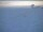 Webcam at the South Pole, 900.7 mi away
