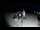 Webcam in Gizzeria Lido, 46.9 km