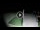 Webcam in Gizzeria Lido, 20.9 km entfernt