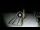 Webcam in Gizzeria Lido, 46.7 km entfernt