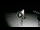 Webcam in Gizzeria Lido, 50 km