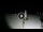Webcam in Gizzeria Lido, 50 km