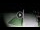 Webcam in Gizzeria Lido, 18 mi away