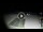 Webcam in Gizzeria Lido, 23.7 km