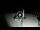 Webcam in Gizzeria Lido, 46.7 km entfernt