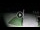 Webcam in Gizzeria Lido, 20.9 km entfernt