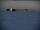 Webcam am Südpol, 1351.5 km entfernt