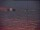 Webcam au Pôle Sud, 2000.2 km