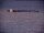 Webcam al Polo Sud, 0 km