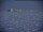 Webcam at the South Pole, 521.5 mi away