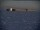 Webcam al Polo Sud, 1351.5 km
