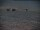 Webcam al Polo Sud, 0 km