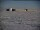 Webcam at the South Pole, 771.7 mi away