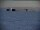 Webcam at the South Pole, 900.7 mi away