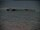 Webcam at the South Pole, 0 mi away