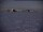 Webcam at the South Pole, 0 mi away