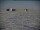 Webcam at the South Pole, 960.9 mi away