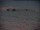 Webcam al Polo Sud, 1351.5 km