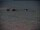 Webcam al Polo Sud, 2334.6 km
