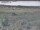 Webcam in Nieuwvliet-Bad, 26.3 mi away