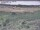 Webcam in Nieuwvliet-Bad, 19.8 km entfernt