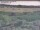 Webcam in Nieuwvliet-Bad, 44 km entfernt