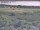 Webcam in Nieuwvliet-Bad, 7.6 mi away