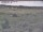 Webcam in Nieuwvliet-Bad, 2.9 km