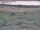 Webcam in Nieuwvliet-Bad, 46.9 km