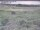 Webcam in Nieuwvliet-Bad, 7.5 km