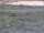 Webcam in Nieuwvliet-Bad, 26.3 mi away