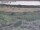 Webcam in Nieuwvliet-Bad, 8.3 mi away