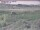 Webcam in Nieuwvliet-Bad, 54.5 km entfernt