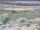 Webcam in Nieuwvliet-Bad, 15.3 km
