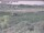 Webcam in Nieuwvliet-Bad, 68.2 km entfernt