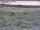 Webcam in Nieuwvliet-Bad, 2.9 mi away