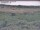 Webcam in Nieuwvliet-Bad, 21.7 km