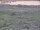 Webcam in Nieuwvliet-Bad, 27.7 mi away