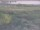 Webcam in Nieuwvliet-Bad, 12.5 km