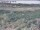 Webcam in Nieuwvliet-Bad, 1.7 mi away