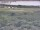 Webcam in Nieuwvliet-Bad, 4.5 mi away